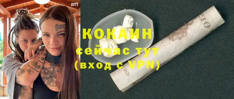 дарк нет какой сайт  Почеп  Cocaine Fish Scale 